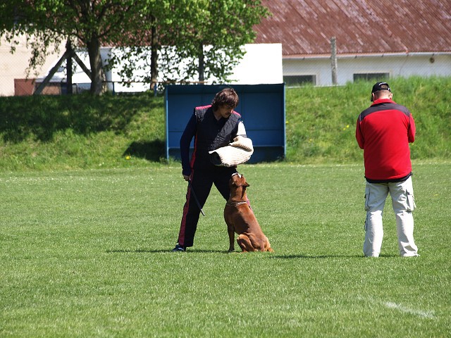 www.atibox.net * www.euroboxer.eu * www.boxergenealogia.eu